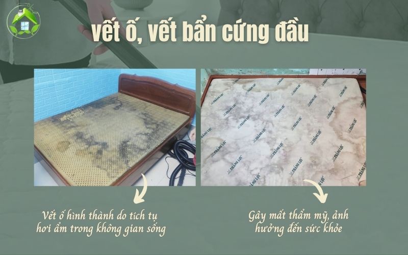 giặt vết ố trên nệm 