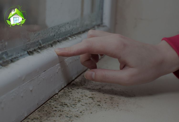 cửa kính bám nhiều bụi bẩn khó vệ sinh
