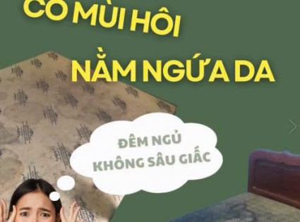 DỊCH VỤ VỆ SINH NỆM SẠCH TẠI TPHCM